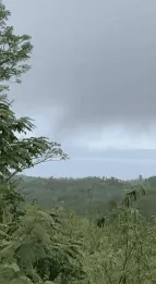 Jual Tanah 550 Are Ped Sental Kangin Nusa Penida Dekat Pelabuhan Buyuk