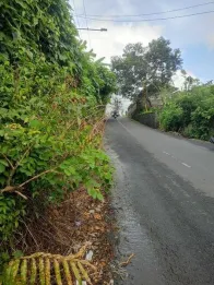 Jual Tanah 737m2 Hadap Utara Peguyangan Kangin Denpasar Utara