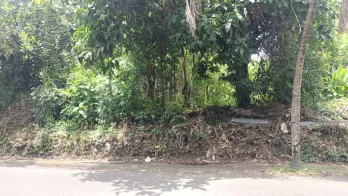 Jual Tanah 758m2 Padang Tawang Canggu