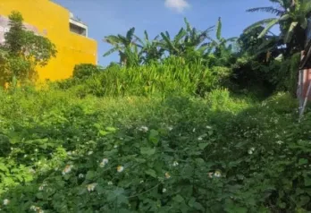 Jual Tanah Hadap Utara 355m2 Bypass Soekarno Banjaranyar Tabanan