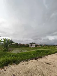 Jual Tanah Kavling 230m2 Bumbak Umalas Kerobokan