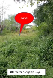 Jual Tanah Kebun Tegal 179 Are Sawan Buleleng