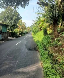 Jual Tanah Kosong 5365m2 Kerambitan Tabanan