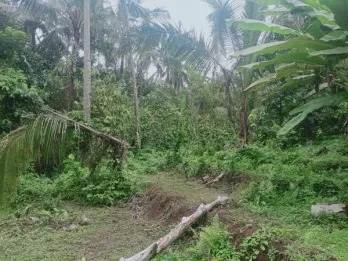 Jual Tanah Murah 33 Are Pupuan Sawah Dekat Wisata Air Terjun Selemadeg Taba