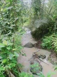 Jual Tanah Murah 33 Are Pupuan Sawah Dekat Wisata Air Terjun Selemadeg Taba