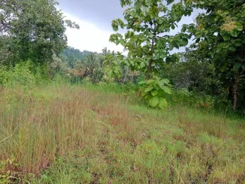 Jual Tanah Murah 5,5 Are Harga Nego Seririt Buleleng