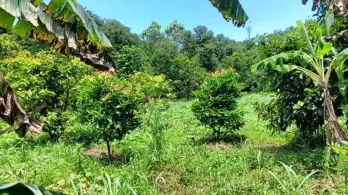 Jual Tanah Shm Siap Bangun di Kawasan Pasir Putih Kota Depok