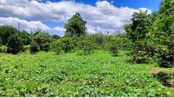 Jual Tanah Shm Siap Bangun di Kawasan Pasir Putih Kota Depok