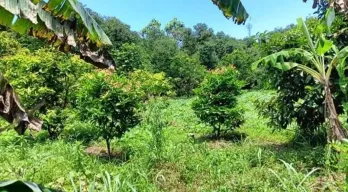 Jual Tanah Shm Siap Bangun di Kawasan Pasir Putih Kota Depok