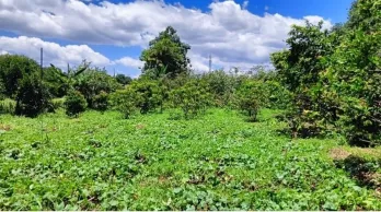 Jual Tanah Shm Siap Bangun di Kawasan Pasir Putih Kota Depok