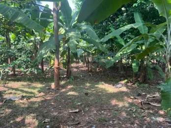 Jual Tanah di Desa Purwasari Kab Karawang Lingkungan Bagus
