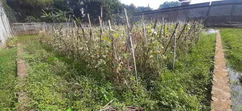 Kavling 135 m2 Muka 9 meter SHM di Cisaranten Kulon Arcamanik Bandung