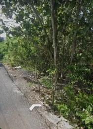 Peluang Investasi Harga Terjangkau Tanah 5750m2 Gubug Sari Kutuh Badung