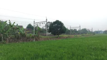 Sawah Kawasan Campur