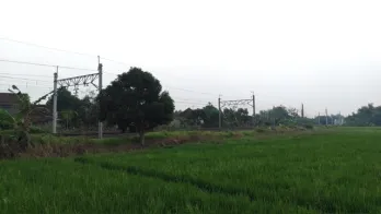Sawah Kawasan Campur