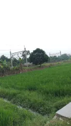 Sawah Kawasan Campur