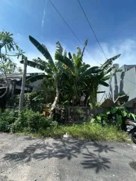 Sewa Jangka Panjang Tanah Hadap Selatan 1 Are Renon