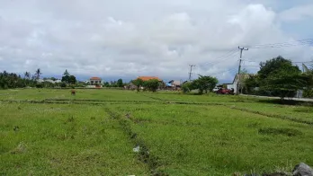 Sewa Tanah Kavling Pemandangan Sawah 6 Are Pererenan Canggu Bali