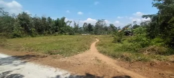 TANAH DIJUAL MURAH DI SINGOSARI