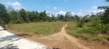 TANAH DIJUAL MURAH DI SINGOSARI