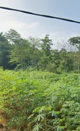 Tanah 1,2 Hektar SHM Untuk Resort Villa Kebun Wisata Sport Club di Sumedang