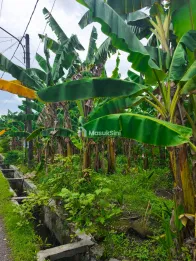 DIJUAL TANAH DI JALAN PELAJAR TIMUR MEDAN DENAI