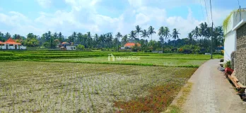 Disewakan Rumah di Tegalalang Ubud Gianyar Bali