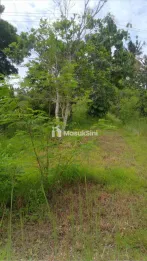 Investasi Cerdas Tanah Strategis Desa Sangsit Sawan Buleleng Seluas 26229m2