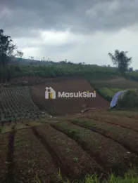 DJUAL TANAH PERTANIAN KOTA BATU