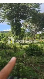 Jual Tanah 1660m2 Pantai Balangan Jimbaran