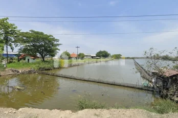 Jual Tanah Sangat Luas di Arteri Kaliwungu Kabupaten Kendal