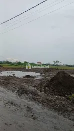 Sewa Tanah Datar 10 Are Pulau Moyo Pedungan Denpasar Selatan