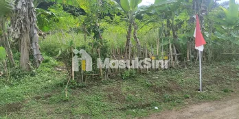 Tanah 1592 m2 Utk Rumah Kos atau Cluster Dekat Unpad, ITB IPDN Jatinangor