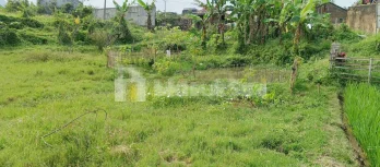 Tanah Dijual 600 m2 di Jl. Raya Nagreg Bandung Dekat Pasar Rebo Nagreg