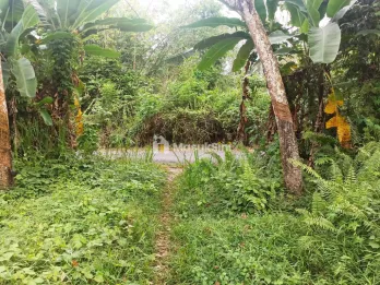 BU - Jual Murah Tanah Strategis Di Sumatera Selatan. Palembang