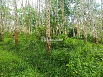 BU - Jual Murah Tanah Strategis Di Sumatera Selatan. Palembang