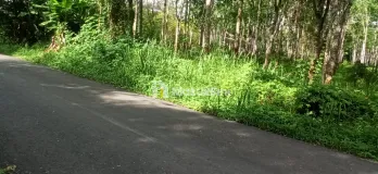 BU - Jual Murah Tanah Strategis Di Sumatera Selatan. Palembang