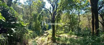 DIJUAL CEPAT LAHAN DI GUNUNG ARJUNA