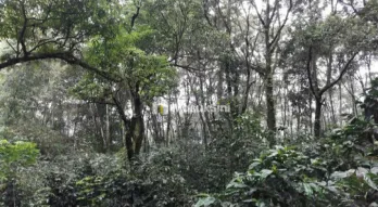 DIJUAL CEPAT LAHAN DI GUNUNG ARJUNA