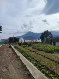 dijual tanah di pasar bunga sidomulyo