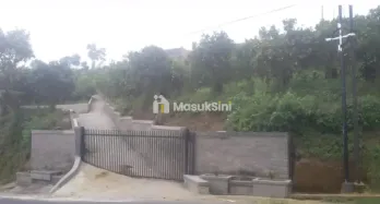 Dijual Tanah Kebun Jeruk di Raya Kintamani, Bangli