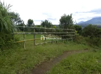 Dijual Tanah Kebun Jeruk di Raya Kintamani, Bangli