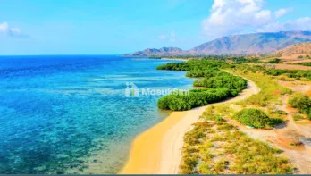 Dijual Tanah Los Pantai Tua Nanga Dkt Kertasari Poto Tano Sumbawa Barat