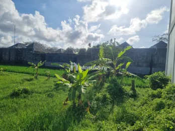 Disewakan Tanah Area Petitenget Dkt Batu Belig,Kerobokan,Seminyak Kuta Bali