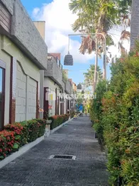 Disewakan Tanah Area Petitenget Dkt Batu Belig,Kerobokan,Seminyak Kuta Bali