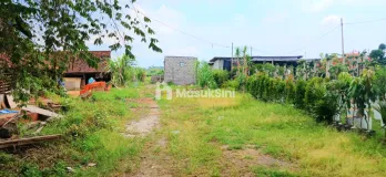 Disewakan Tanah di Darmasaba Abiansemal Dkt Mengwi Badung Bali