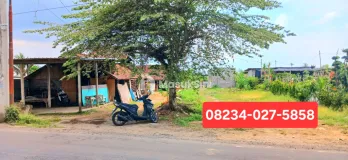 Disewakan Tanah di Darmasaba Abiansemal Dkt Mengwi Badung Bali