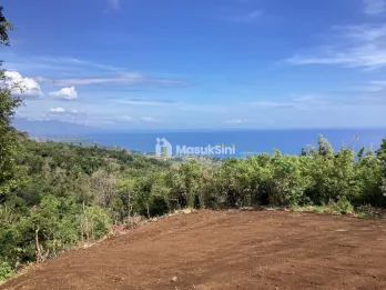 For Sale: Premium Land with Spectacular Ocean, Rice Field