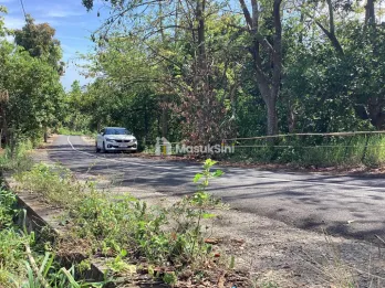 For Sale: Premium Land with Spectacular Ocean, Rice Field
