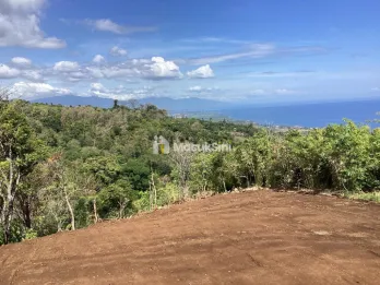 For Sale: Premium Land with Spectacular Ocean, Rice Field